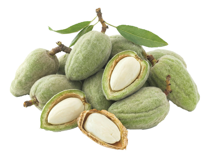 Fresh Almonds