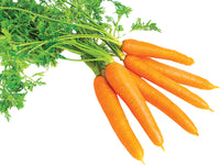 Fresh Carrots