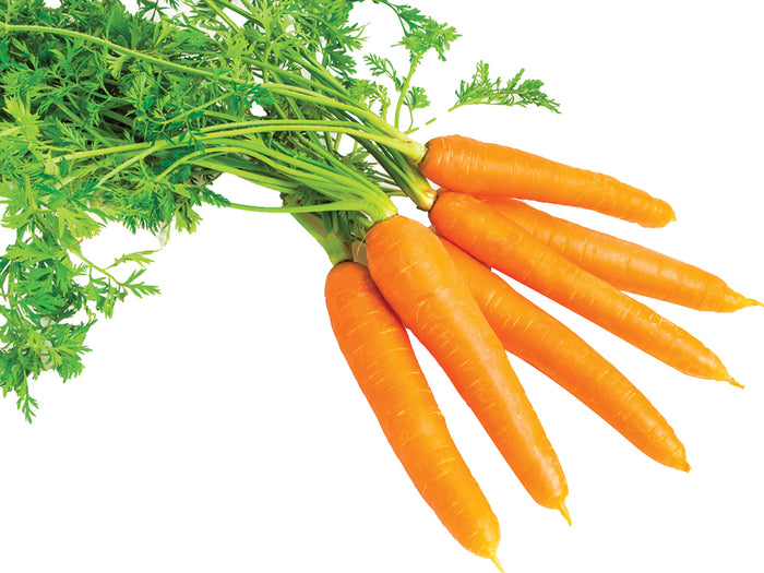Fresh Carrots
