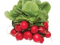 Fresh Radish