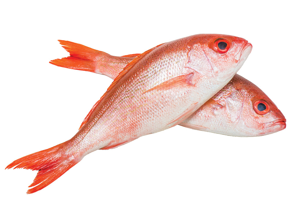 Fresh Cleaned Red Snapper