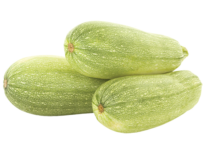 Grey/White Zucchini