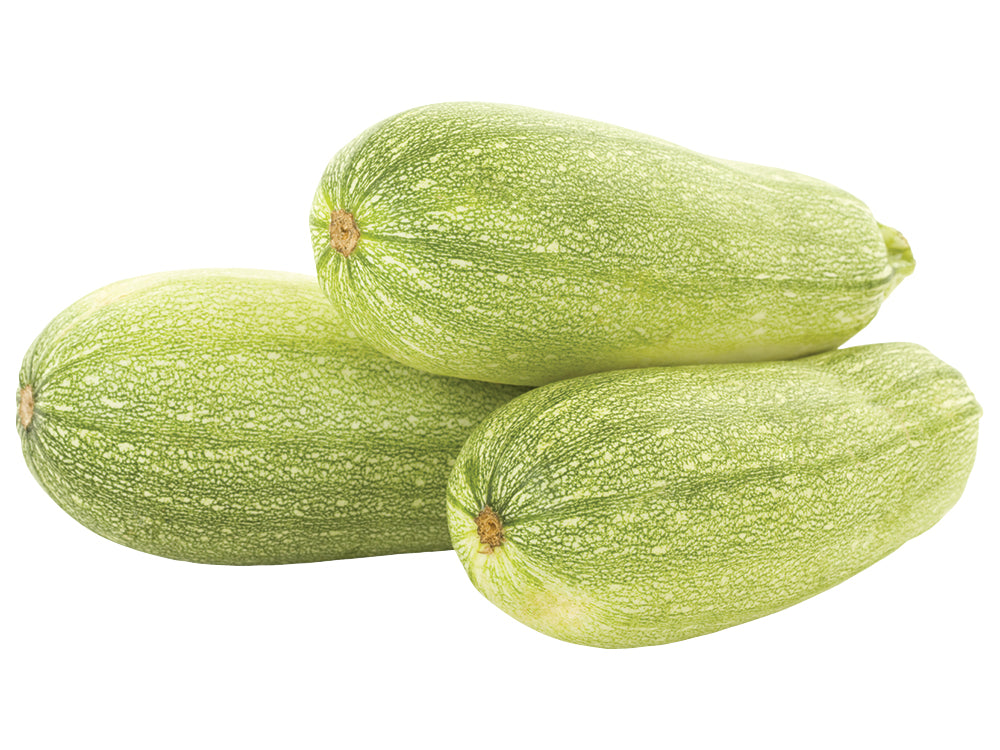 Grey/White Zucchini