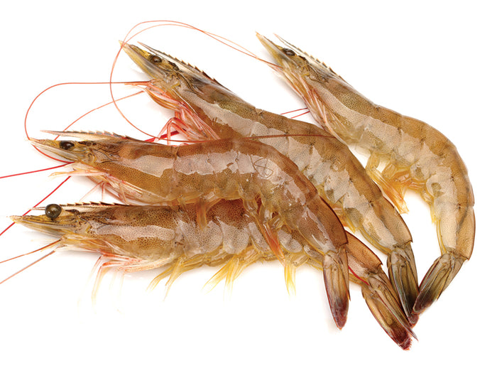 Head-on Shrimps