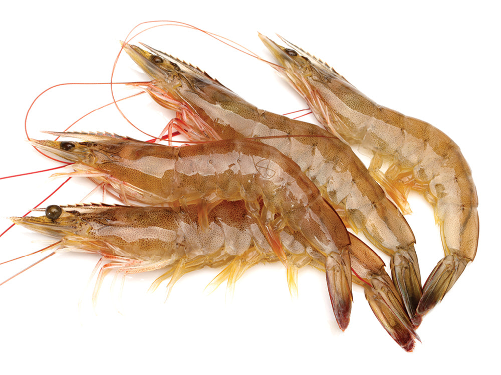 Head-on Shrimps
