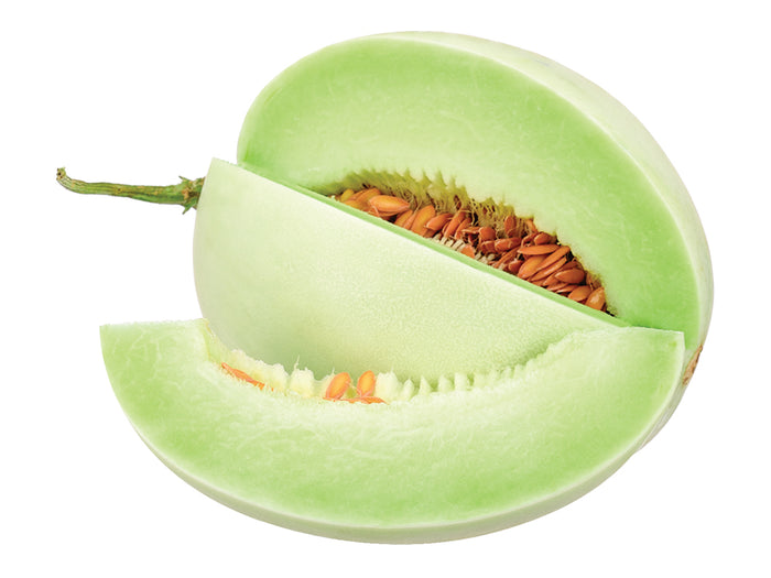 Honeydew Melon
