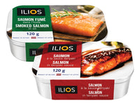 Salmon