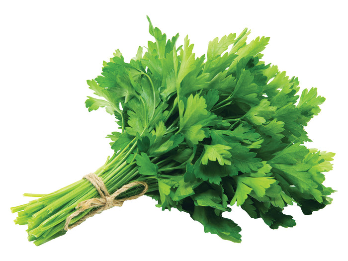 Italian Parsley