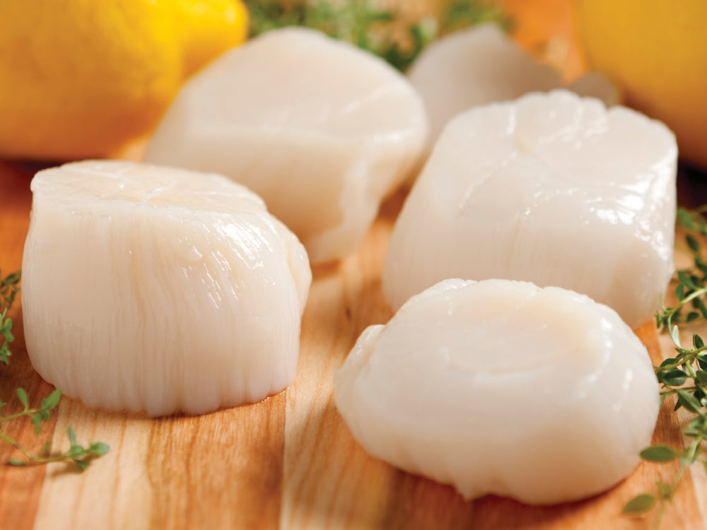 Jumbo Scallops