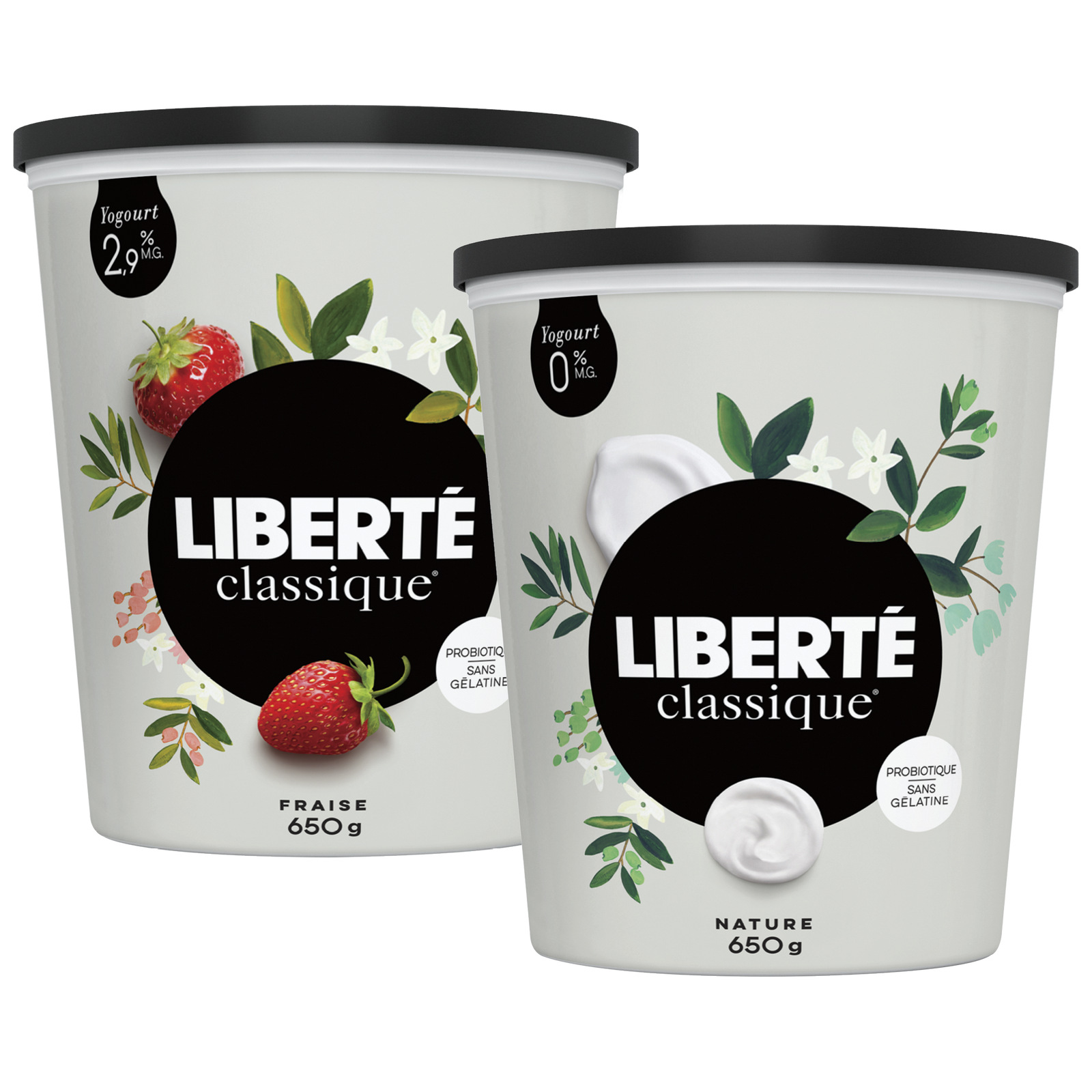 Classique Yogurt