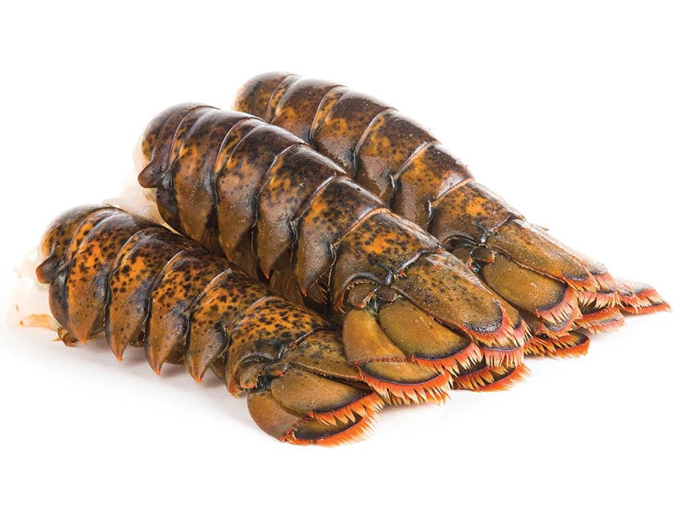 Lobsters Tails