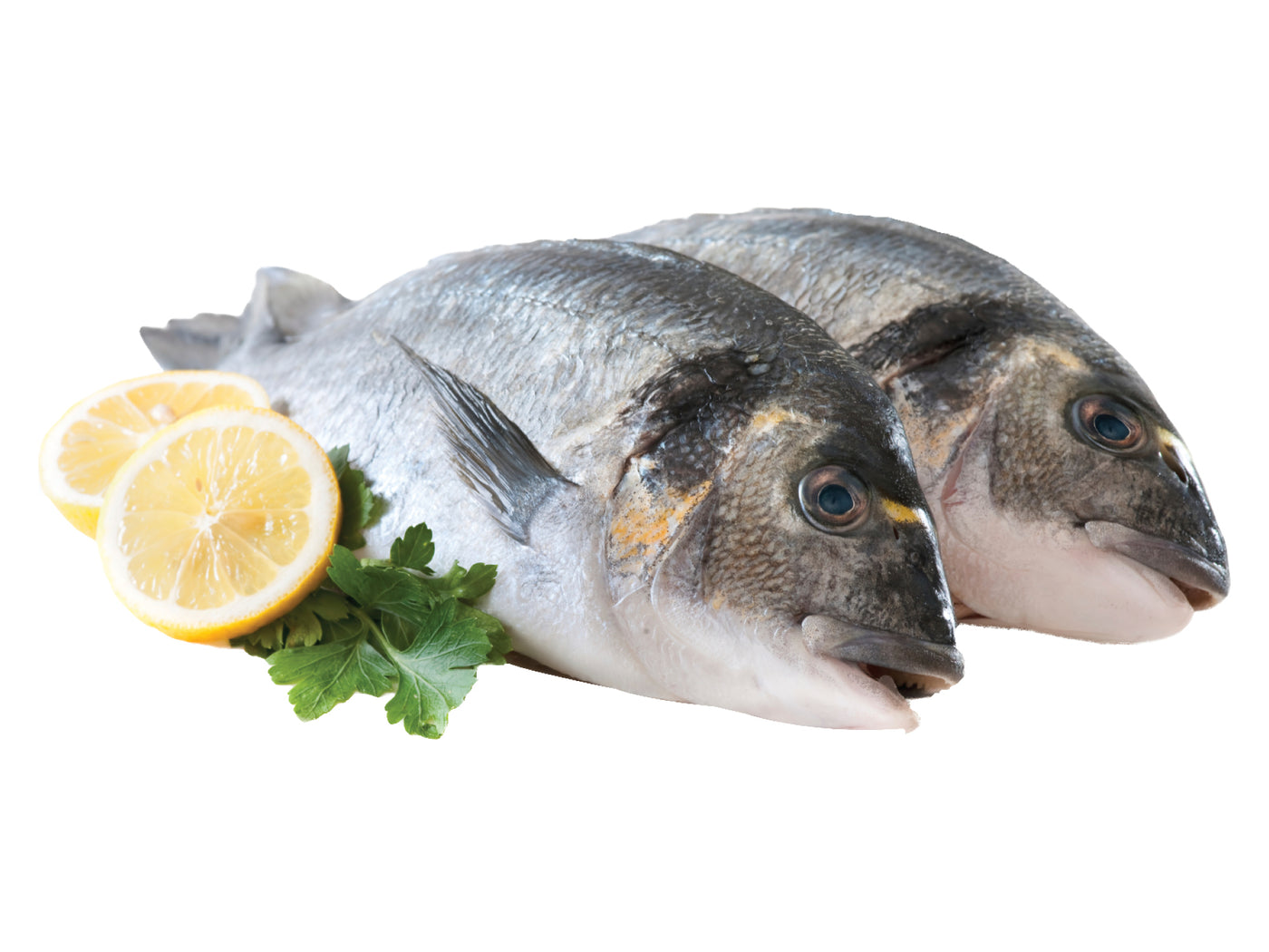 Fresh Cleaned Mediterranean Porgies