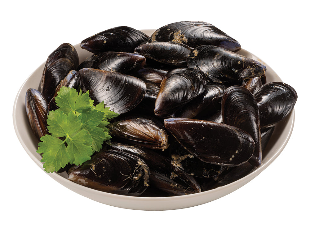 Cultivated Mussels