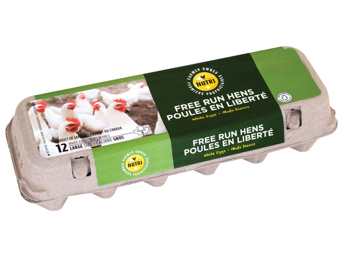 Free Run Hens White Eggs
