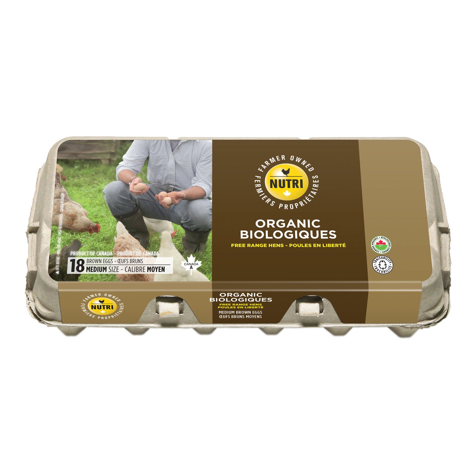 Organic Medium Brown Eggs