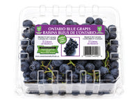 Ontario Blue Grapes