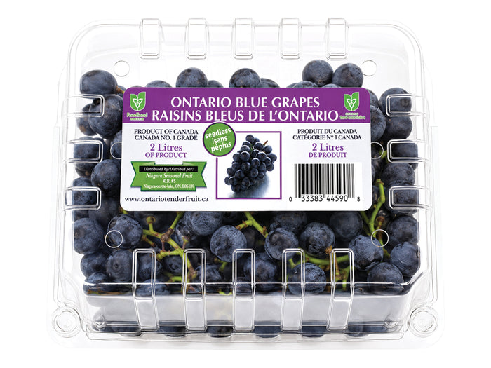 Ontario Blue Grapes