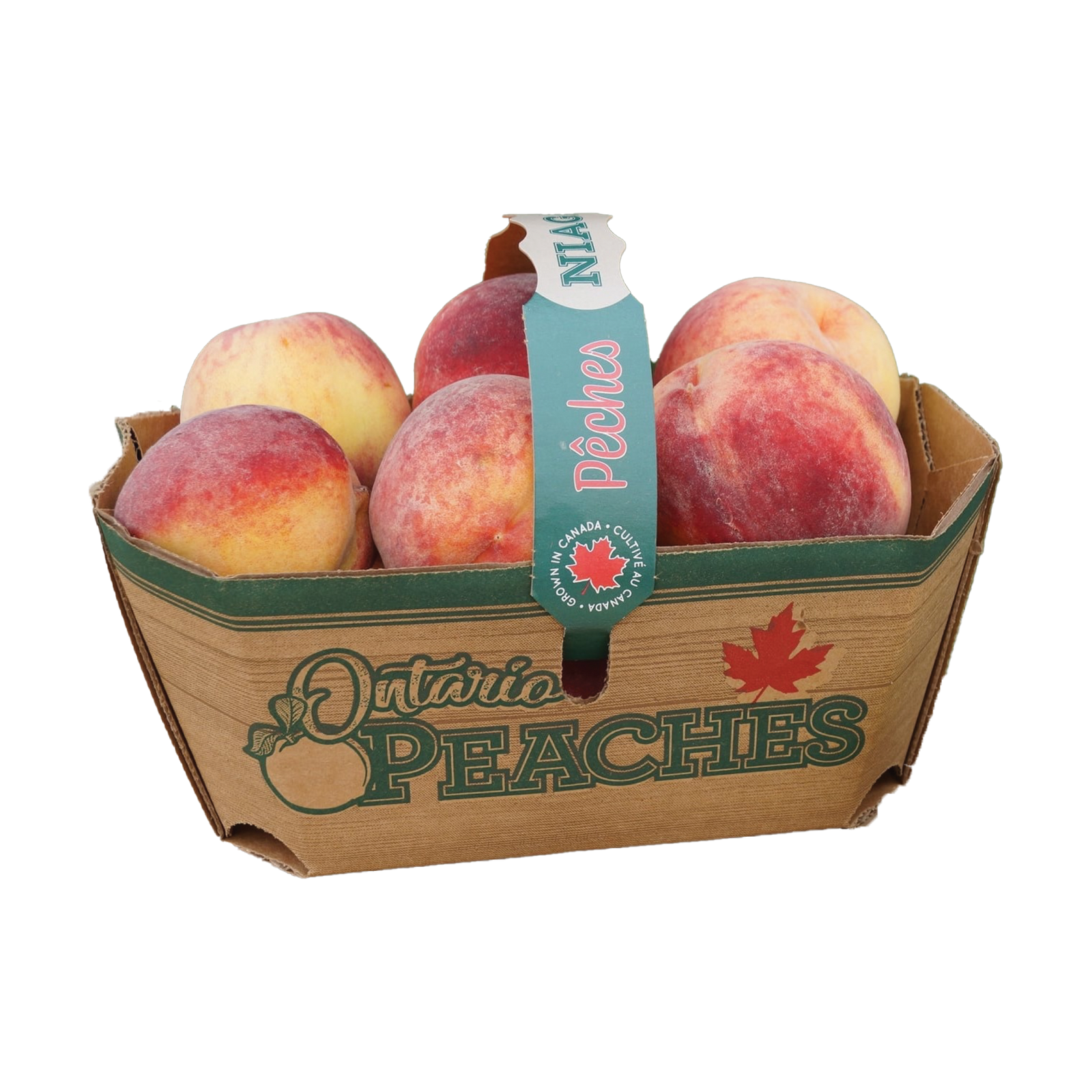 Ontario Peach Basket