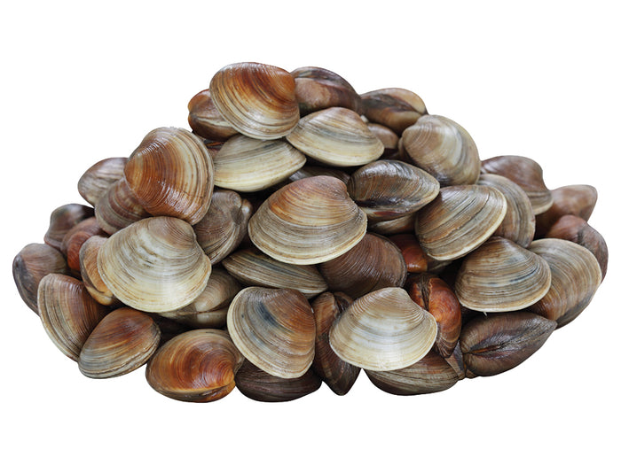 Pasta Clams