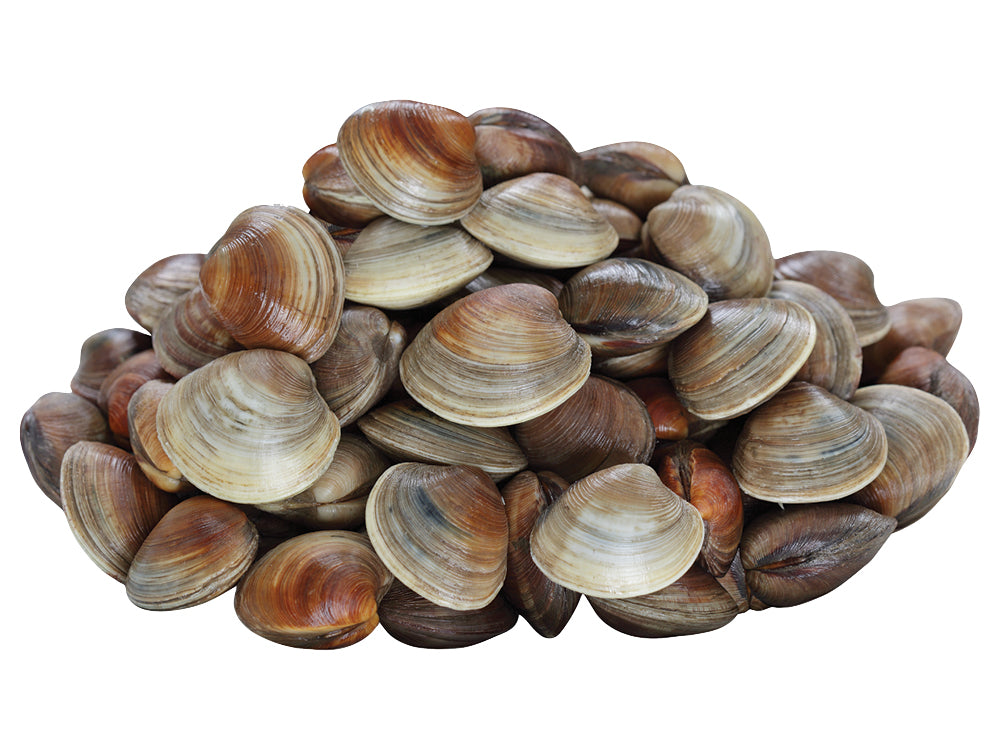 Pasta Clams