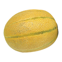 Québec Cantaloupe