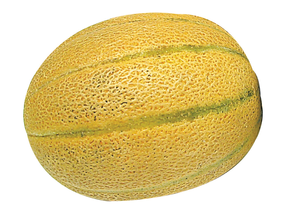 Québec Cantaloupe