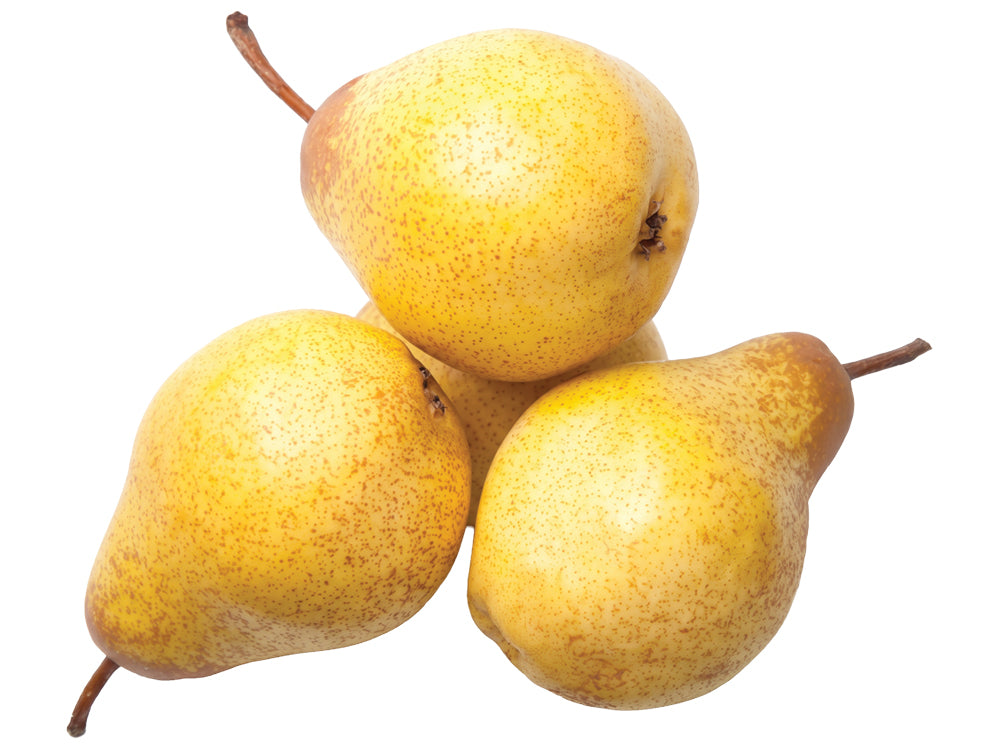 Rocha Pears