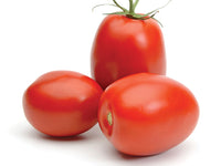 Roma Tomatoes