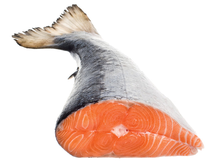 Fresh Whole Atlantic Salmon