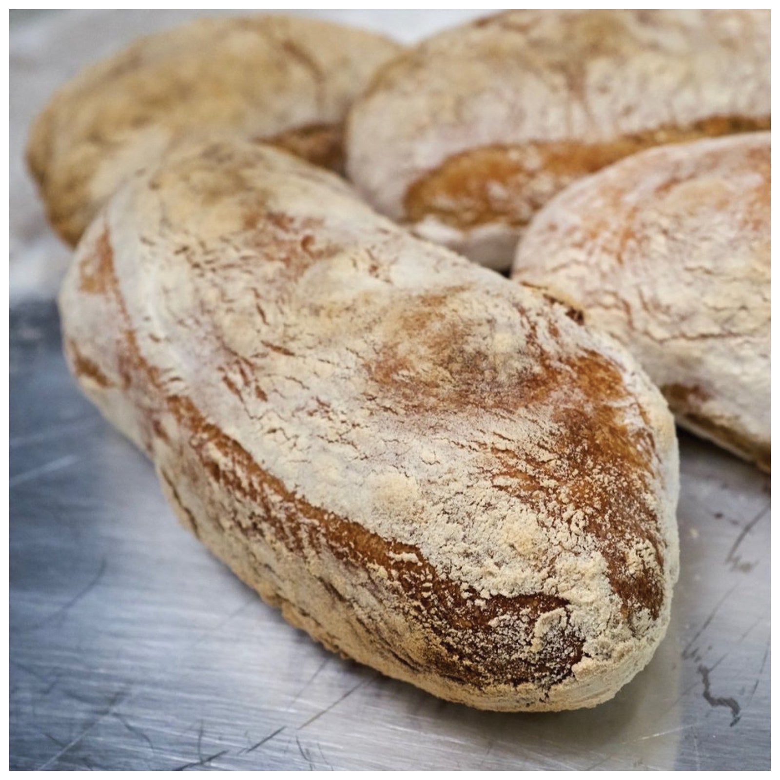 Ciabatta Bread