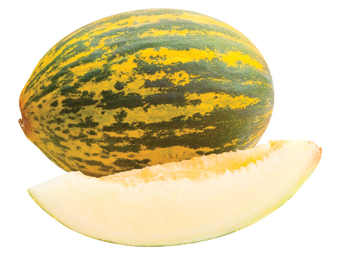 Santa Claus Melons