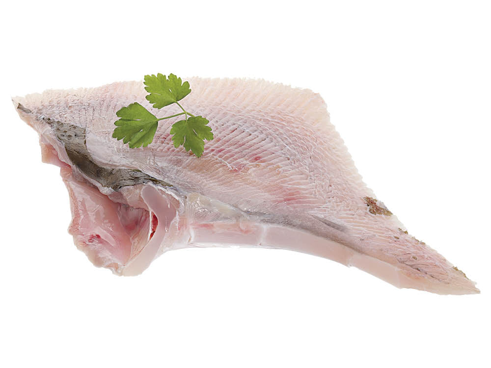 Fresh Cleaned Skate Wings