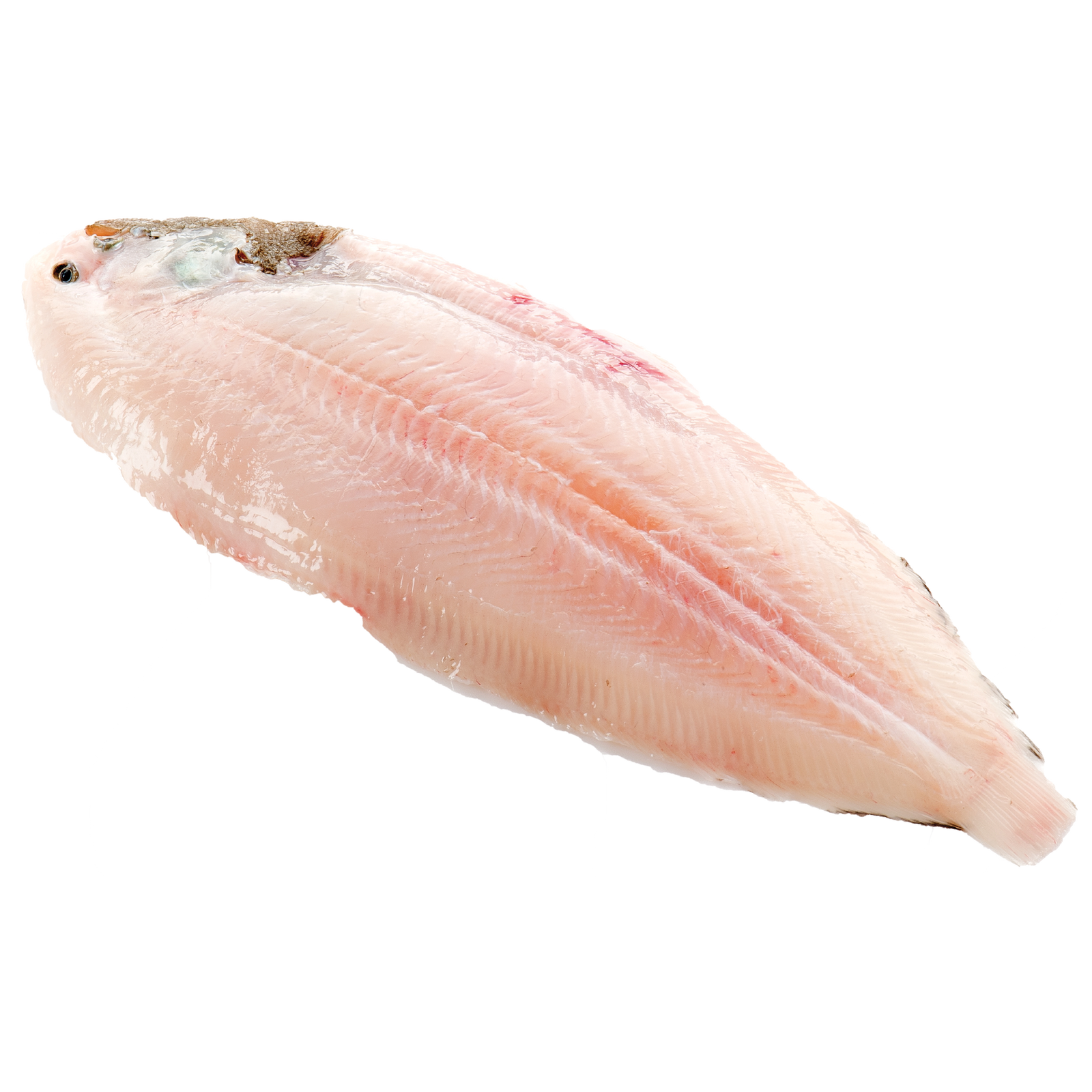 Sole Fillets