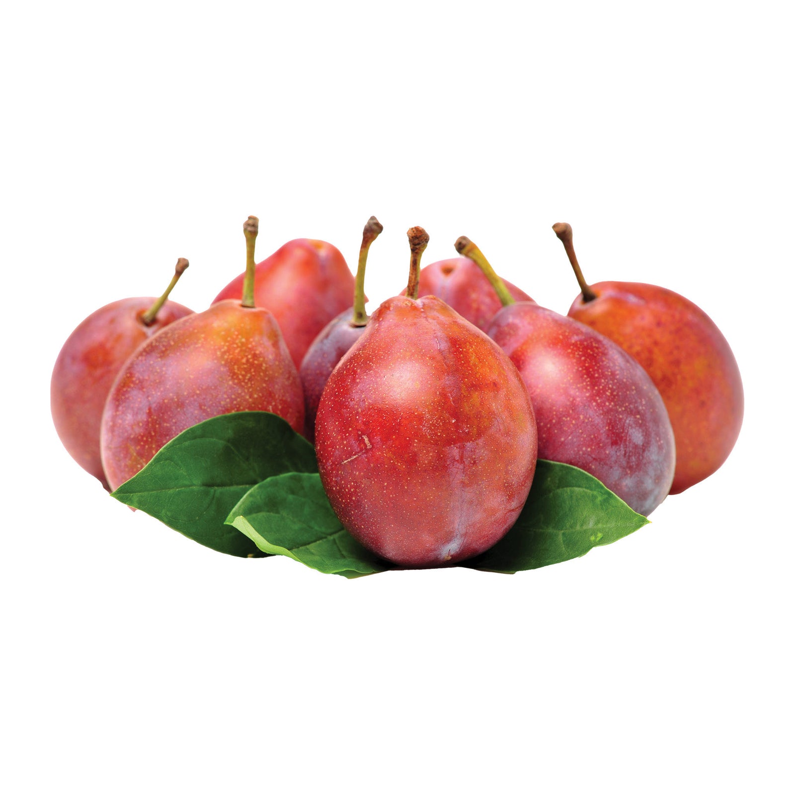 Sugar Plums