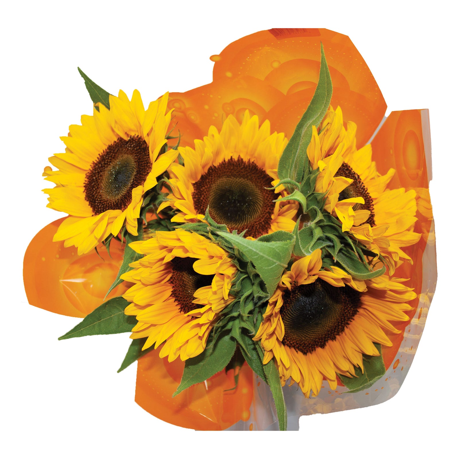 Sunflower Bouquet