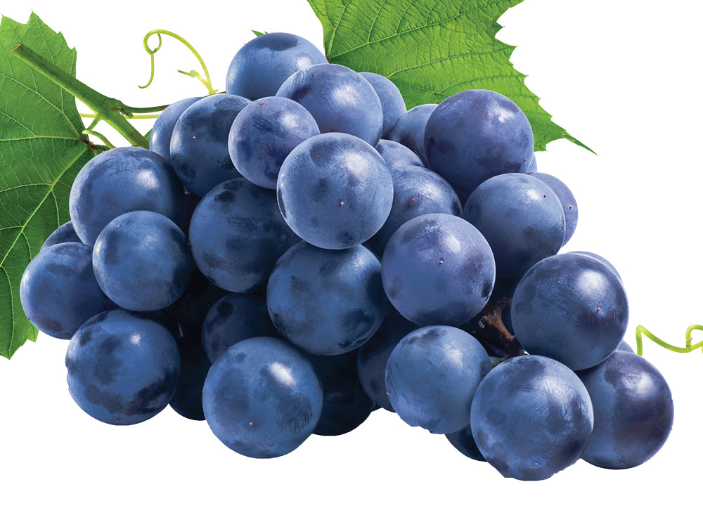 Thomcord Grapes
