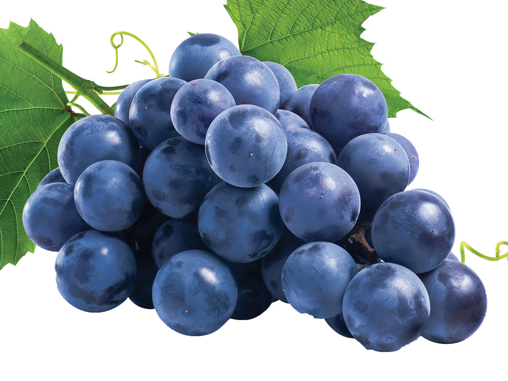 Organic Blue Grapes