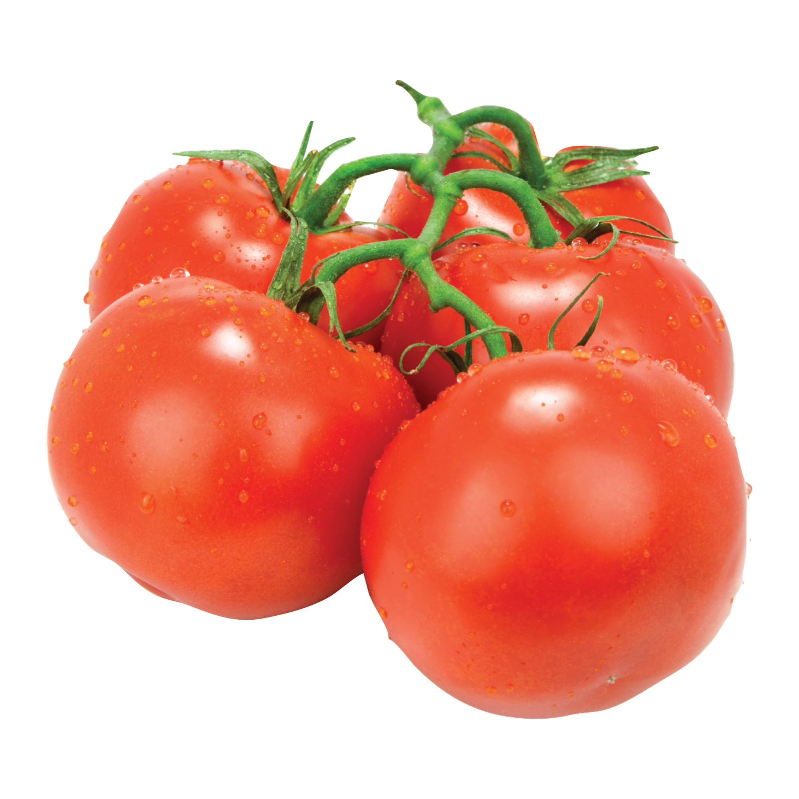 Vine Tomatoes