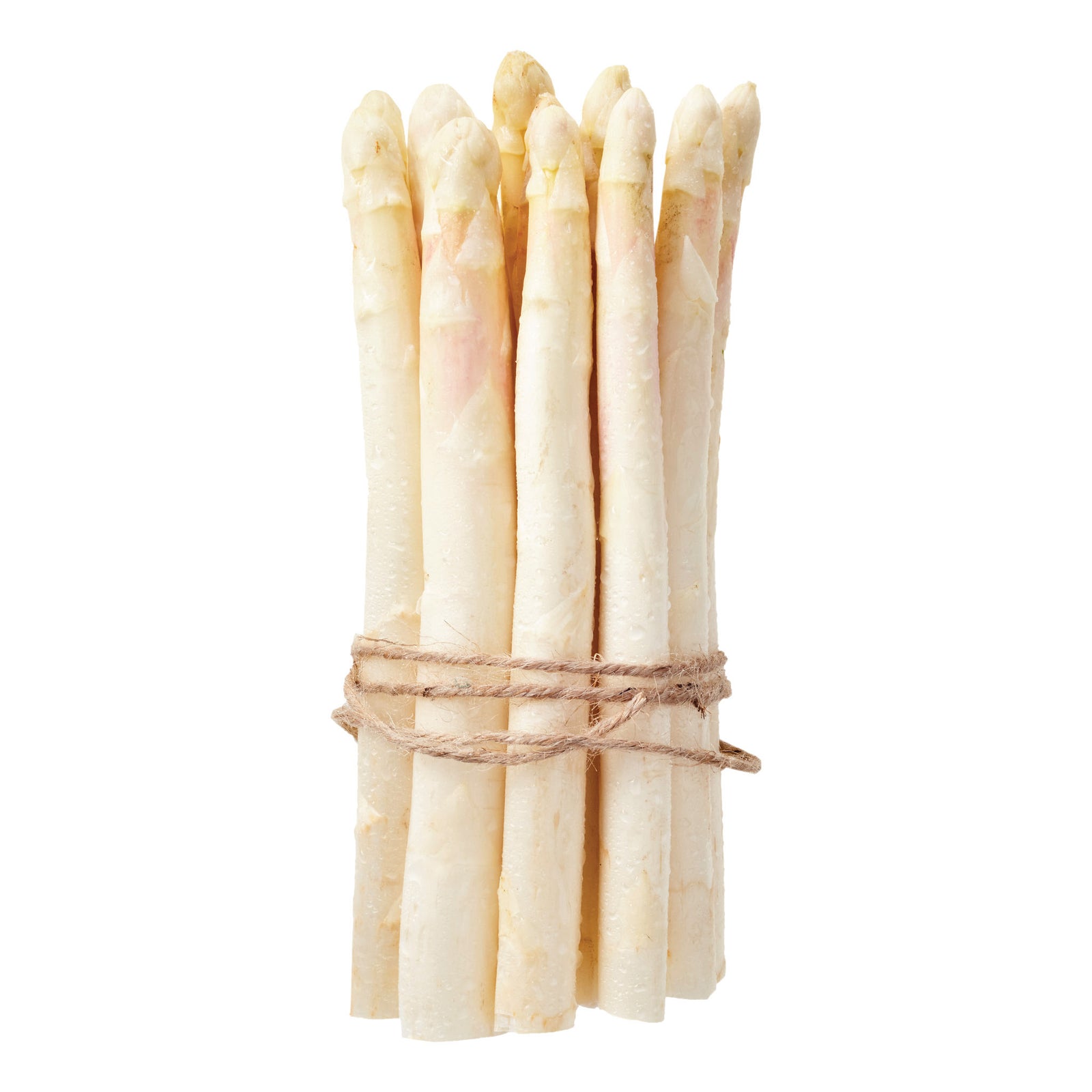 White Asparagus