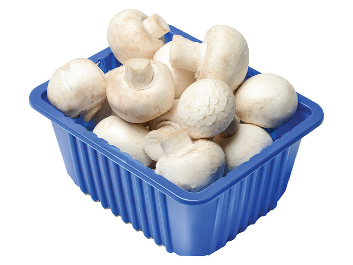 White Mushrooms
