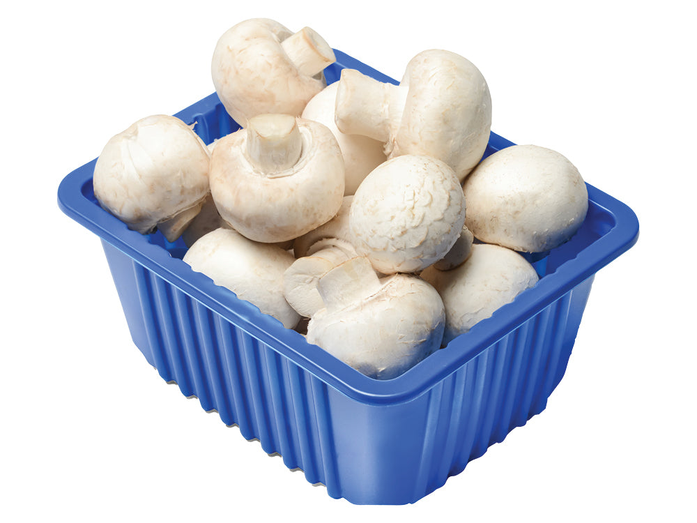 White Mushrooms