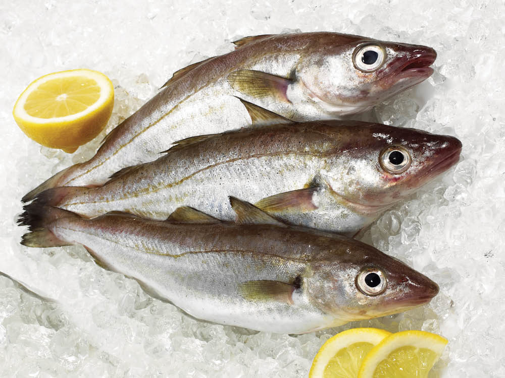 Fresh Whiting Supermarché PA / Whole Fresh Whiting