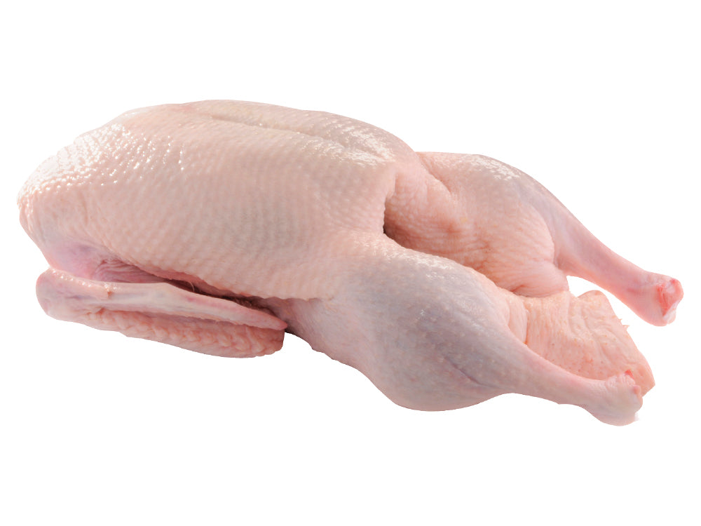 Thawed Whole Duck