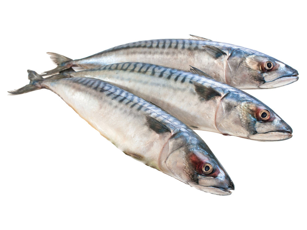 Whole Mackerel