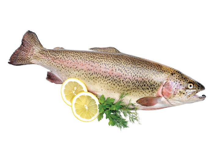 Whole Rainbow Trout