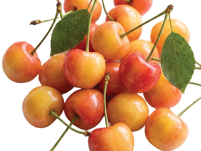 Rainier Cherries