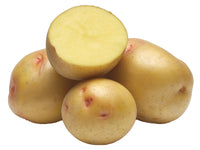 Yukon Gold Potato Bag