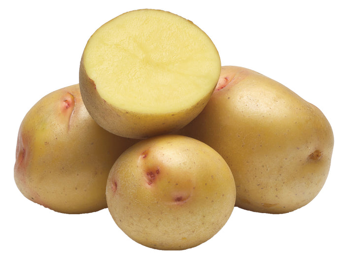 Yukon Gold Potato Bag