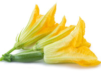 Zucchini Flowers