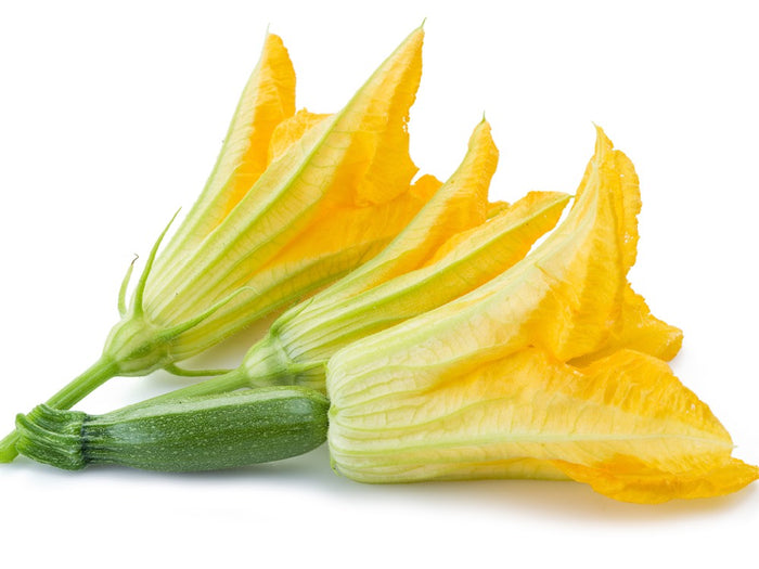 Zucchini Flowers